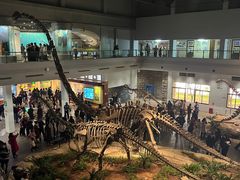 -自贡恐龙博物馆