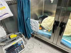 -谐和贝康宠物医院24小时·宠保定点(急重症转诊中心)