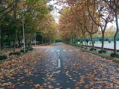 -成都工业学院(郫都校区)