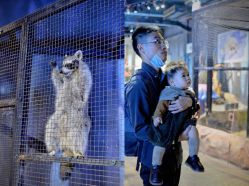 -酷嗒动物文化乐园(cutezoo西溪乐天城店)