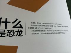 -衢州市博物馆