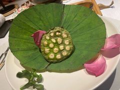 -叶叶菩提(太原别墅店)