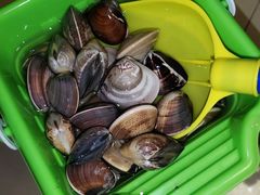 -北海金海湾红树林生态旅游区