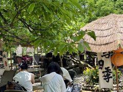 -桃源山庄·水蜜桃采摘·柴火鸡·烧烤团建(龙泉山店)