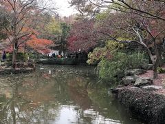 -秋霞圃