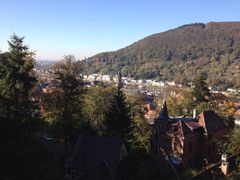 -哲学家之路徒步游(Philosophenweg)