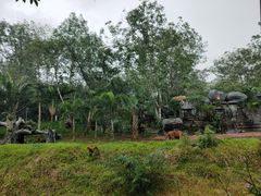 -海南热带野生动植物园