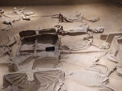 -洛阳周王城天子驾六博物馆