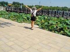 -红莲湖旅游度假区