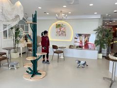 -共舞时光猫咖·狗咖(新街口店)
