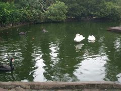 -海南热带野生动植物园