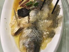 -圆苑(上海广场店)