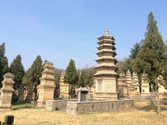 商户图片-少林寺景区