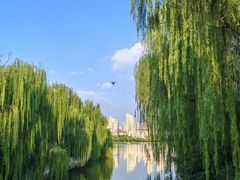 -南翠屏公园