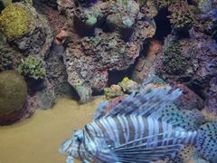 -上海海洋水族馆