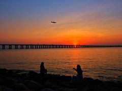 -宝安西湾红树林湿地公园