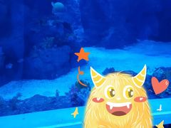 -成都浩海立方海洋公园