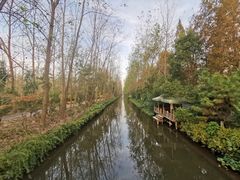 -合肥滨湖国家森林公园