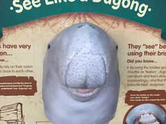 -悉尼海洋生物水族馆