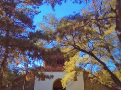 -普陀宗乘之庙(小布达拉宫)