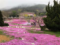 -棒棰岛宾馆景区