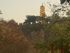 -南沙蒲洲花园