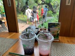 -Chom Cafe and Restaurant
