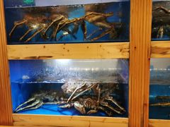 水产区-大岛日本料理铁板烧(南通大饭店)