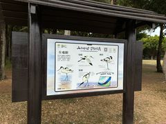 -深圳湾公园(南山区)