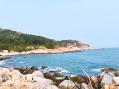 -广东惠东海龟国家级自然保护区