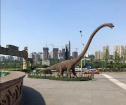 -恐龙探索乐园(磁器口店)