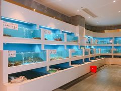 水产区-富黎华海鲜大酒楼(正大广场店)