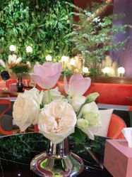 点击看大图 -花隐·美芙炫海菲秀皮肤管理中心