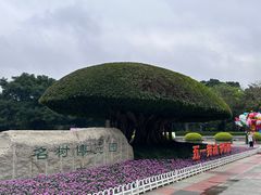 -南宁南湖公园