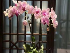 -德迹斋禅意文化茶馆·茶空间·商务洽谈•宴席(桃园店)