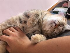 -宠福鑫康馨动物医院·骨科·眼科