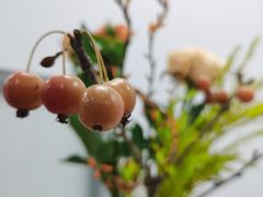 -深圳龙潭公园