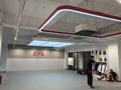 -EFL巴西柔术·综合格斗·泰拳·少儿体能训练(虹桥德必馆)