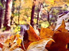 -天津盘山风景名胜区