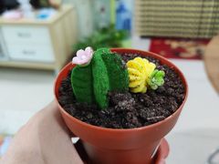 -85度C(北京八角物美店)