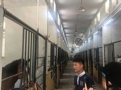 -枫露马术学院(藏书校区)