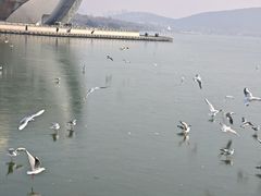 -云龙湖旅游景区