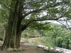 -径山寺