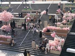 -DQ·蛋糕·冰淇淋(万象城店)