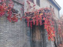 -玛尚诺意式餐厅(新达汇三林店)