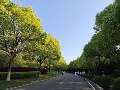 -南京市江宁方山