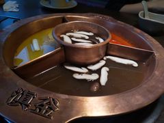 -滇釜火锅·能喝汤的火锅(车公庄店)