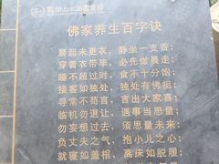 -观澜山水田园