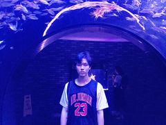 -成都浩海立方海洋公园