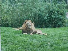 -北京野生动物园